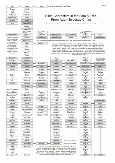 Jesus Family Tree, Bible Family Tree, Bible Genealogy, Bible Timeline, Bible Mapping, Family Tree Chart, Bible Study Help, Understanding The Bible, Bible Study Methods