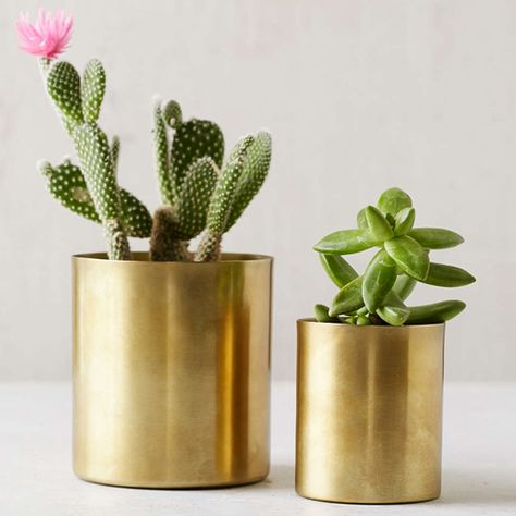 Brass Planter, Decor Pillows, Metal Planters, Small Planter, Large Planters, Cactus And Succulents, Back To Nature, Interior Trend, Gold Decor