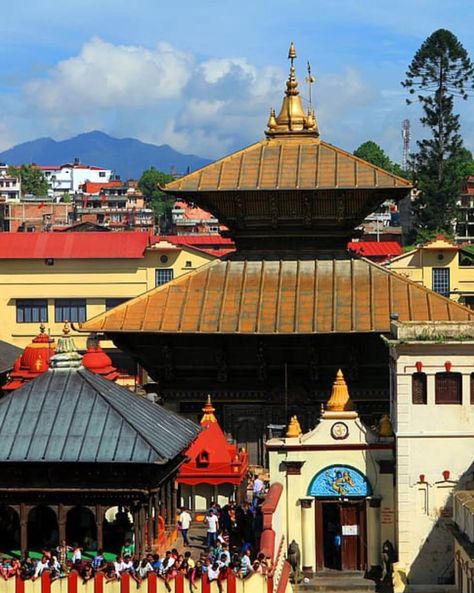 Pashupatinath Temple Pashupatinath Temple is The Greatest Hindu Temple for Lord Shiva Devotees situated just 1 KM west of Airport from Kathmandu. #pashupatinathtemple #pashupatinath #mahadev #nepal #harharmahadev #shiva #mahadeva #kathmandu #temple #shiv #utmostdestination Shiva Mahadeva, Pashupatinath Temple, Hindu Temple, Lord Shiva, Shiva, Nepal, Temple, Quick Saves