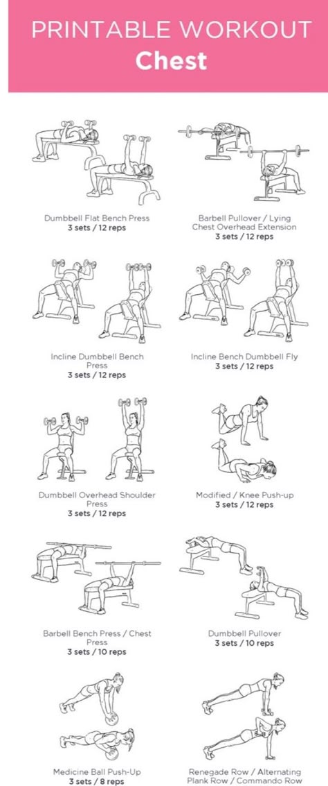 Arm Day Machine Workout, Dumbell Workout With Bench, Dumbbell And Barbell Workouts, Incline Bench Press Dumbbell, Arm Bench Workout Women, Weight Bench Dumbell Workout, Arm Day Workout At The Gym For Women, Dumbell Arm Workout Bench, Bench Dumbell Workout