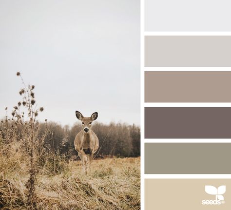 creature color | design seeds | Bloglovin’ Knitted Colorwork, Seeds Color, Hunting Room, Hunting Decor, Design Seeds, Colour Board, Paint Schemes, Bedroom Colors, Colour Schemes