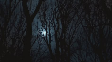 Dark Aesthetic Gif, Maeve Aesthetic, Dark Banner Gif, Dark Gif, Halloween Gifs, Dead Forest, Rain Gif, Creepy Gif, Gif Background