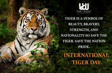 Web Utopian Technologies- Best IT Development company International Tiger Day, Tiger Day, Save The Tiger, Cool Slogans, Save Nature, World Days, Army Wife, Nature Wildlife, International Day