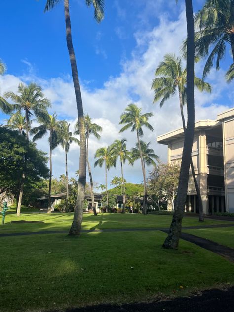 University of Hawai'i at Manoā University Of Hawaii Manoa, Uh Manoa Aesthetic, University Of Hawaii At Manoa Aesthetic, University Of Hawaii Aesthetic, Hawaii College, Hawaii University, Uh Manoa, University Of Hawaii At Manoa, College Vibes