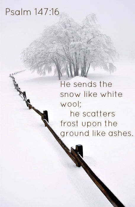 Psalm 147:16 He sends the snow like white wool;      he scatters frost upon the ground like ashes. Snow Quotes, Listen Carefully, Winter Quotes, Winter Beauty, Beautiful Life, A Quote, The Science, Winter Scenes, Great Quotes