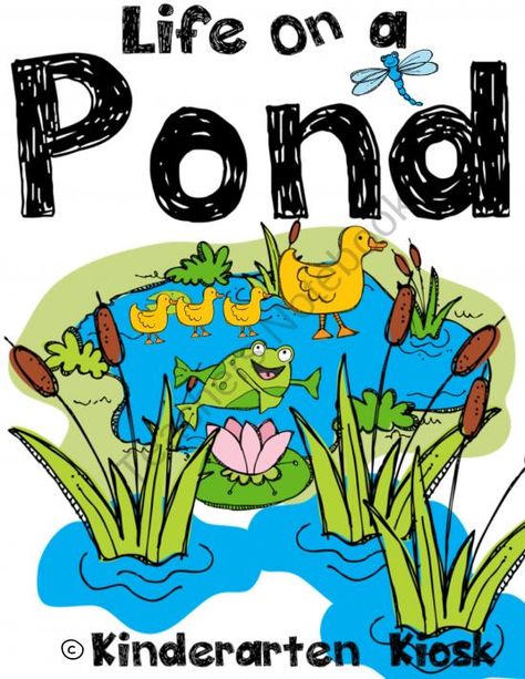 Life in a Pond: Thematic Common Core Essentials from Kindergarten Kiosk on TeachersNotebook.com (121 pages) Pond Activities, Pond Life Theme, Learning About Animals, Pond Animals, Soil Conservation, Summer Themes, Educational Activities For Preschoolers, Frog Pond, Play Based Learning Activities