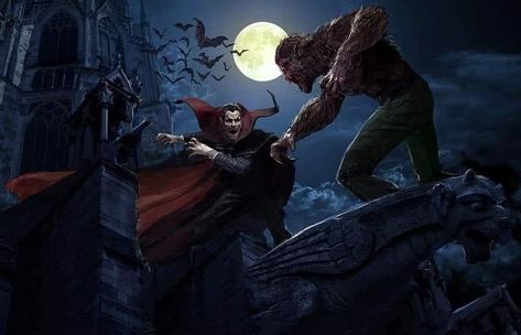 Tomb Of Dracula, Werewolf Vs Vampire, Werewolf By Night, The Werewolf, The Real Ghostbusters, Vampires And Werewolves, Universal Monsters, Classic Monsters, Character Poses