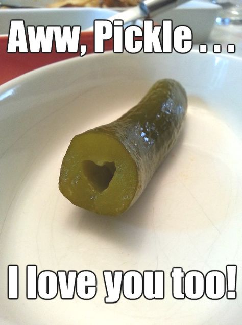 Pickle Pictures, Pickle Picture, Love You Meme, Funny Romance, Memes For Him, Dump A Day, Funny Picture, Funny Captions, Very Funny Pictures