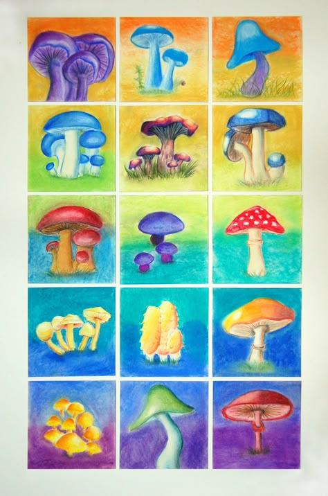 Pastel Mushrooms done by SunRidge Charter School 5th graders 2015 Mushroom Pastel Drawing, Block Crayon Drawing, Wet On Wet Painting, Chalkboard Drawings, Crayon Drawings, Mushroom Drawing, 5th Grade Art, Watercolor Beginner, Oil Pastel Art