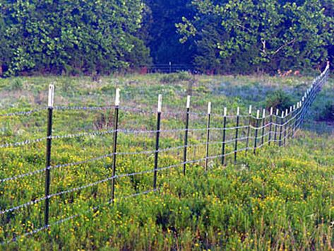 Barb Wire Fence Ideas, Barbed Wire Fence Ideas, Barb Wire Fence, Ranch Property, Barbed Wire Fence, Barbed Wire Fencing, Free Land, Earth Bag Homes, Fence Options