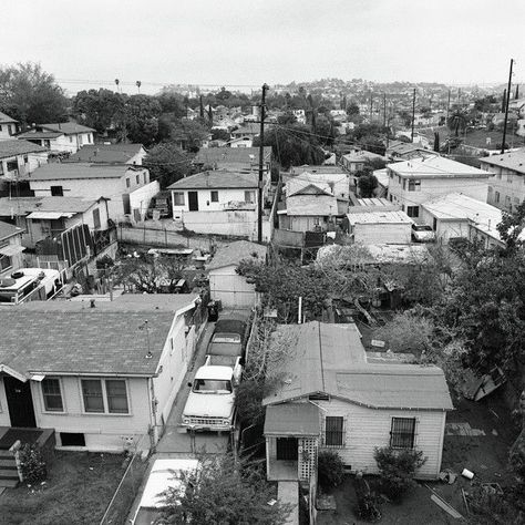 Olivia Octavius, Scene Setting, Brown People, Old Los Angeles, California Winter, Scary Story, Boyle Heights, Classic Pictures, East La