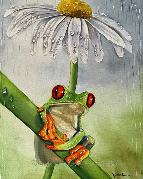 Watercolour Frog, Tree Frog Art, Frog Painting, Art Frog, Red Eyed Tree Frog, Whimsical Art Paintings, Frog Frog, Wildlife Painting, Nature Sketch