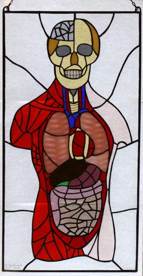 Anatomy Anatomical Heart Drawing, Stain Glass Art, Glass Art Projects, Stained Glass Decor, Heart Drawing, Stained Glass Crafts, Art Stained, Stained Glass Designs, Faux Stained Glass