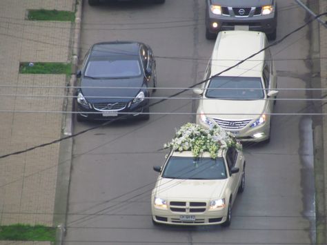 Although not required by law, it’s still common practice in Mississippi to pull over for funeral processions. Southern Hospitality, Mississippi, Things That, Places To Visit