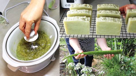 Aloe Soap Recipe, Aloe Vera Soap Recipe, Homemade Aloe Vera Gel, Herbal Bath Recipes, Hot Process Soap, Aloe Vera Soap, Aloe Soap, Lifestyle Advice, Fresh Aloe Vera Gel