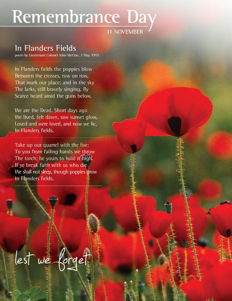 Remembrance Day Quotes | Remembrance Day Flanders Fields Poem, Remembrance Day Poems, Remembrance Day Pictures, Remembrance Day Quotes, Remembrance Day Art, John Mccrae, Remembrance Day Poppy, Flanders Field, Remembrance Sunday