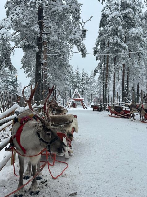 Santa’s Village, Rovaniemi Finland Santa's Village, Lapland Aesthetic, Norwegian Winter, Santas Village, Santa Village, Rovaniemi Finland, Finland Summer, Santa Claus Village