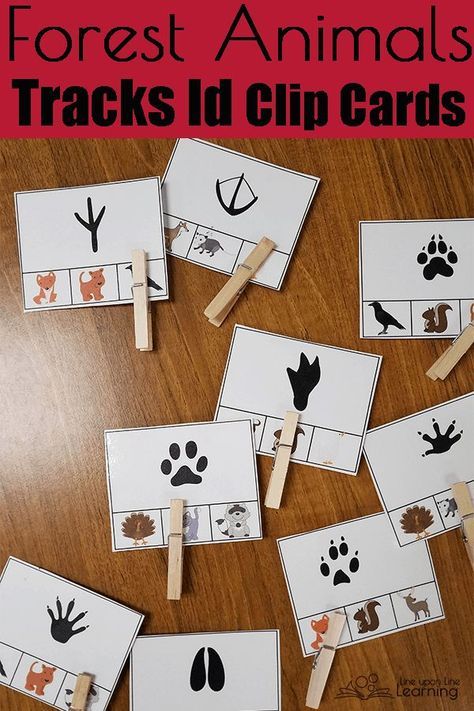 We practice identifying forest animals by their tracks, learning the patterns of various kinds of animals, such as predators and birds. Animals Tracks, Forest Animals Preschool, Temperate Forest, Unit Study Ideas, Forest Animals Theme, Forest Habitat, Study Ideas, Animal Tracks, Creative Games