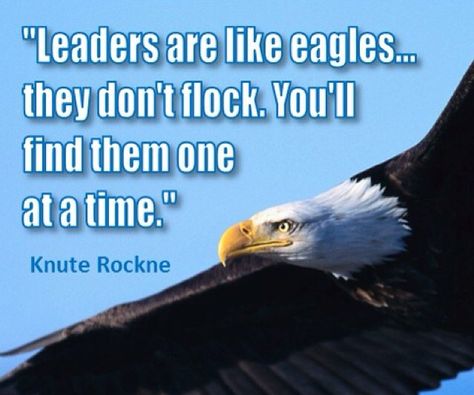 Knute Rockne Knute Rockne Quotes, The Eagle Has Landed Quotes, Eagle Motivational Quotes, Knute Rockne, Air Force Rotc Memes, Daring Greatly Quote Theodore Roosevelt, Wait Upon The Lord, Hockey Quotes, Isaiah 40 31