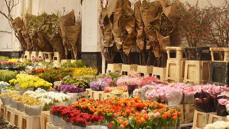 The Local’s Guide to NYC's Flower District – Journal Hotels Nyc Stores, Nyc Flower Market, Nyc Flowers, New York Flower, Retro Signage, Flower Guide, Chelsea Flower, Nyc Trip, Flower Display