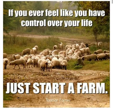 Farm Life Quotes, Farmer Quotes, Farm Quotes, Starting A Farm, Farm Humor, Country Quotes, Country Stuff, Country Humor, The Hardest Part