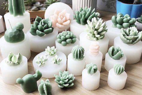 Craft your organic soy candles infusing botanicals, essential oils and fragrances to create the perfect scent for you. Lilin Aroma, Cactus Candles, Succulents Candles, Soap Molds Diy, Floral Soap, Soya Mumu, Candle Crafts Diy, Cactus Succulents, Silicone Candle Molds