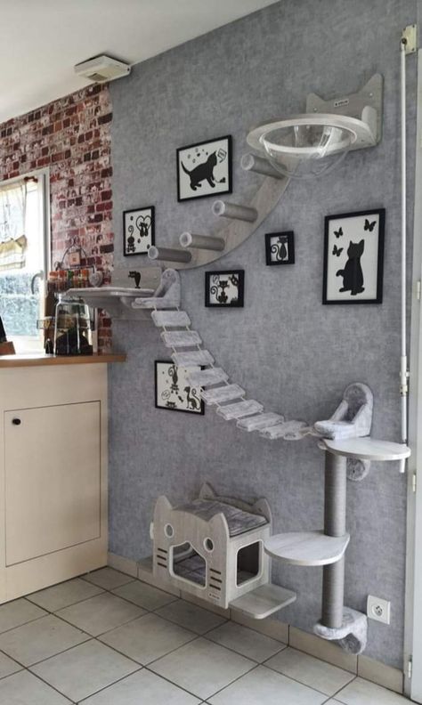 Spooky Room Ideas Bedrooms, Cat House Decor Ideas, Cats Room Design, Cat Closet Ideas Under Stairs, Cattery Ideas Cat Room Diy, Bedroom With Cat Ideas, Cat Room For Multiple Cats, Cat Tree Shelves, Cat Room Wall Ideas