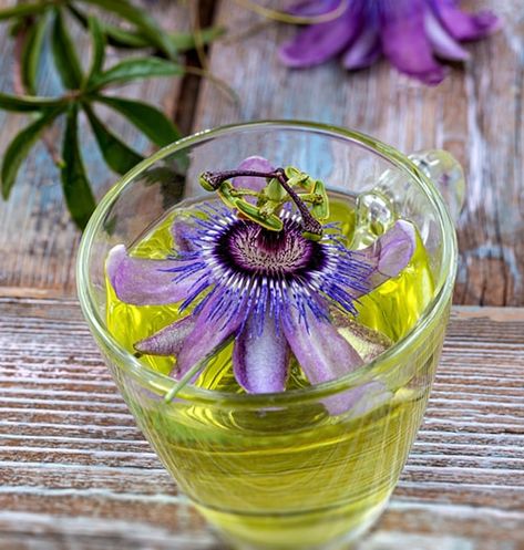 Drink A Cup of This Every Night for Better Sleep - The Lost Herbs Sleep Drink, Herbal Recipes, Body Balance, Passion Flower, Herbal Remedies, Better Sleep, Natural Remedies, Tea Party, Improve Yourself