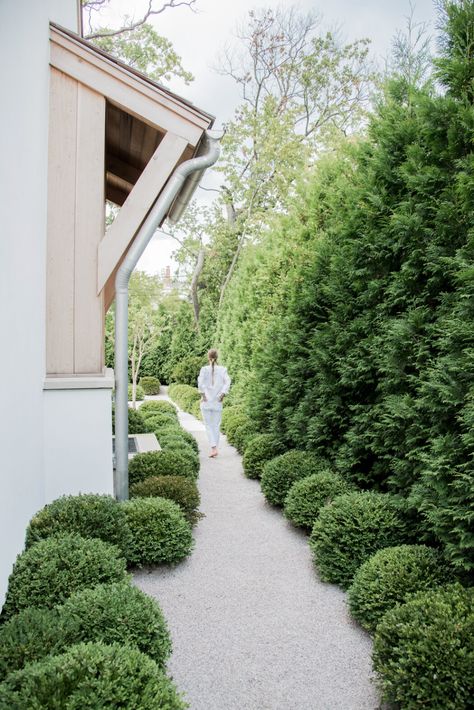 Aesthetic Gardening, Landscape Aesthetic, Farmhouse Landscaping, Farmhouse Garden, Home Landscaping, Garden Pathway, Design Landscape, House Landscape, Side Yard