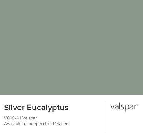 Valspar Silver Eucalyptus for master bath cabinets, with White Moss walls? Boston Coastline, Eucalyptus Green Paint, Valspar Green, Green Wall Paint Colors, Silver Eucalyptus, Valspar Paint Colors, Green Grey Paint, Green Painted Walls, Door Colour