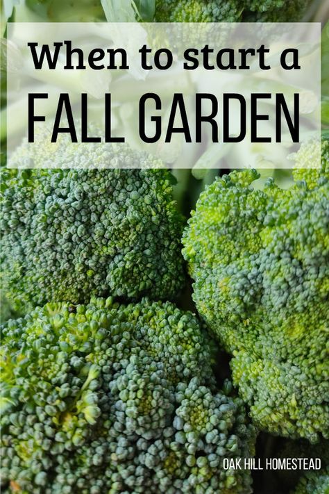 Homestead Garden Layout, Fall Garden Planting, Planting Dates, Tattoo Plant, Vegetable Plants, Homestead Gardens, Fall Vegetables, Fall Garden Vegetables, Garden Veggies