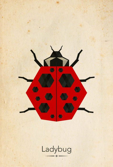 #design #poster #illustration #geometric #animals #insect #ladybug #bugs Insect Graphic Design, Geometric Ladybug, Ladybug Insect Illustration, Bugs Illustration, Insects Illustration, Ladybug Illustration, Insect Poster, Insect Illustration, Illustration Geometric