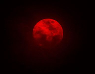 via tumblr Banner Gif, Red Moon, Lunar Eclipse, Blood Moon, Gif Pictures, Trik Fotografi, Aesthetic Gif, Dead Sea, Red Aesthetic