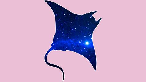 Space Manta Ray, nebula, galaxy, milky way, mantaray, stingray, sting ray, manta ray, space, cool, t-shirt, shirt, tee, tshirt, top, drawing, art, silhouette, universe Manta Ray Chest Tattoo, Manta Ray Silhouette, Space Manta Ray, Stingray Art, Flying Manta Ray Fantasy Art, Manta Ray Art, Manta Ray From Above, Stingray Tattoo, Top Drawing