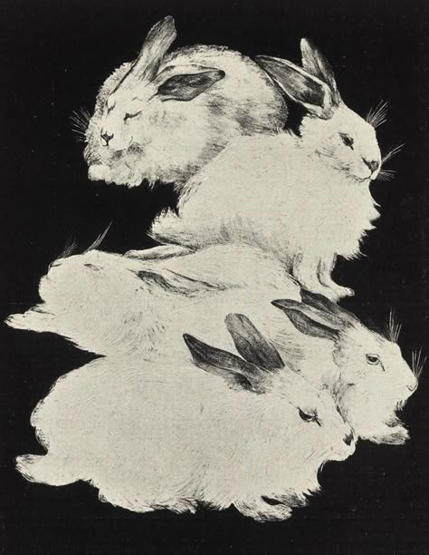 Bunny Mona Awad, Animals In Art, Rabbit Art, Bunny Art, Buns, Rabbits, Art References, Etching, Printmaking