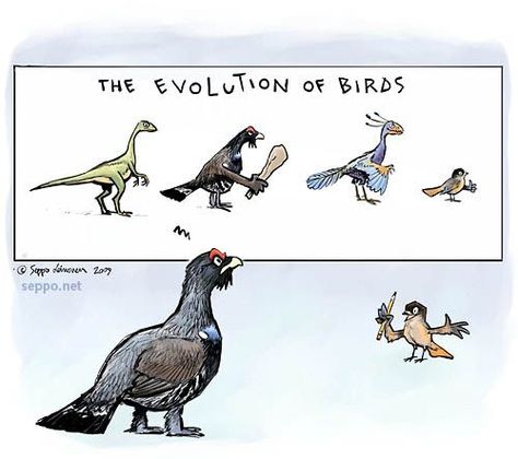 The evolution of birds, keywords:  birds evolution Capercaillie Wood Grouse… Siberian Jay, Birds Cartoon, Computer Drawing, Hawaii Wall Art, Painting Class, Drawing And Painting, Love Animals, Just Because, Evolution