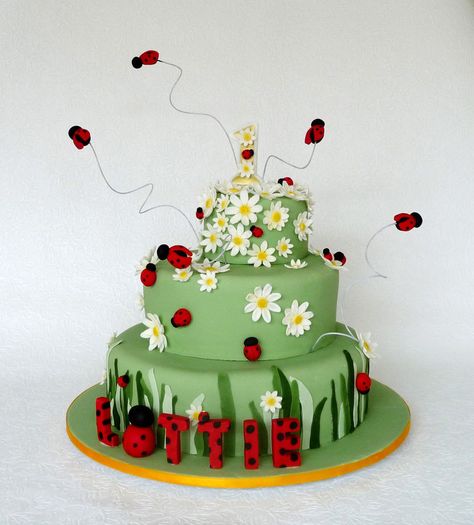 Ladybird Cake, Ladybug Cakes, Bug Cake, Ladybug Birthday Party, Unique Birthday Cakes, Cake Photos, Bird Cakes, Childrens Birthday Cakes, Crazy Cakes