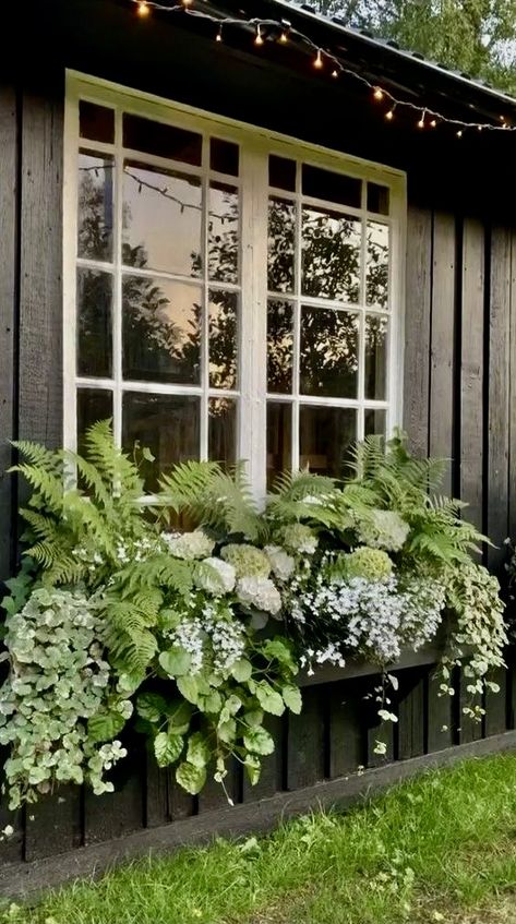 Diy Garden Decorations, Theme Garden, Trash Into Treasure, Window Box Flowers, Backyard Oasis Ideas, Container Gardening Flowers, Casa Exterior, Front House Landscaping, Garden Containers