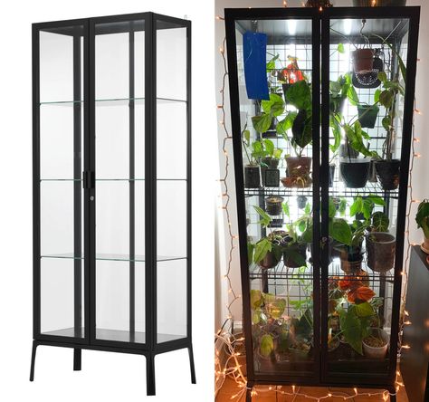 Ikea Plant Cabinet, Plant Cabinets, Ikea Milsbo Cabinet, Milsbo Greenhouse, Greenhouse Setup, Milsbo Cabinet, Cabinet Greenhouse, Ikea Milsbo, Vitrine Ikea