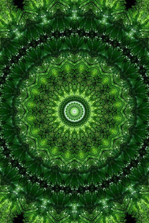 777 Trippy Posters, Geometry In Nature, Cool Illusions, Mandala Wallpaper, Psychadelic Art, Hippie Wallpaper, Simple Green, Graphic Wallpaper, Wishful Thinking