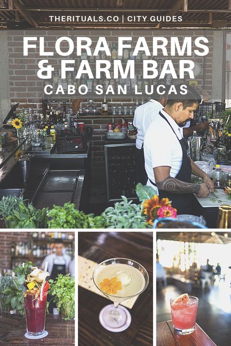 Finding a good cocktail & quality food can be tough in the tourist & spring break destination of Cabo San Lucas, but Flora Farms is a hidden oasis in the Sierra de la Laguna Mountains. Flora Farms & Farm bar is a true farm-to-table and farm-to-bar experience you need to include on your trip. // #loscabos #cabosanlucas #cabo #mexico #springbreak #cocktails #restaurants #travel #trip #florafarms #florafarm #farmbar #farmtotable #sanjosedelcabo #thingstodoin #tips #itinerary #honeymoon #activites Shopping In Cabo San Lucas, Cabo San Lucas Food, Cabo Itinerary, Cabo Honeymoon, Flora Farms Cabo, Cabo Sunset, Cabo Restaurants, Cabo San Lucas Restaurants, Cabo Trip