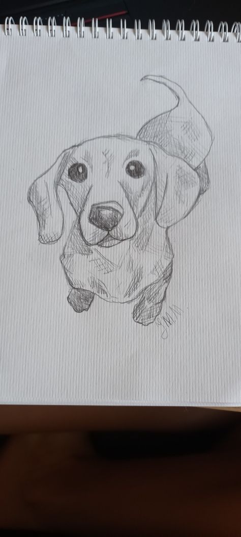 Bobbly art dachshund drawing cute eyes nose slay long wiener dog art long dog Dachshund Puppies Drawing, Weenie Dogs Drawing, Drawing A Dachshund, Long Dog Drawing, Wiener Dog Watercolor, How To Draw Dachshund, Cute Drawings Of Dogs, Dachshund Drawing Easy, Drawing Ideas Easy Dog