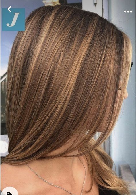 Caramel Brown Hair, Rambut Brunette, Honey Brown Hair, Hair Color Caramel, Brown Hair Inspo, Brunette Hair With Highlights, Brown Hair With Blonde Highlights, Caramel Hair, Honey Blonde Hair