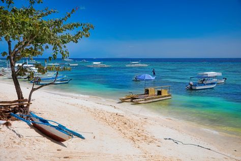 Panglao Island is one of Bohol's most renowned tourist destination. The Island is home to natural attractions such as Alona Beach and the Hinagdanan Cave. Find a selection of great Panglao Island Tours. Panglao Island, Alona Beach, Bohol Philippines, Islands To Visit, Siargao, Parasailing, Bohol, Island Tour, Boracay