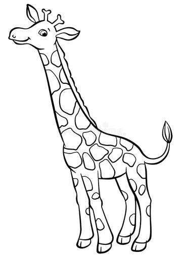 Coloring Pages. Birds. Cute Owl. Stock Vector - Illustration of animal, isolated: 71205097 Zoo Animal Coloring Pages, Giraffe Coloring Pages, Birds Cute, Giraffe Illustration, Tree Illustration, Animal Sketches, Cute Owl, Animal Coloring Pages, Safari Animals