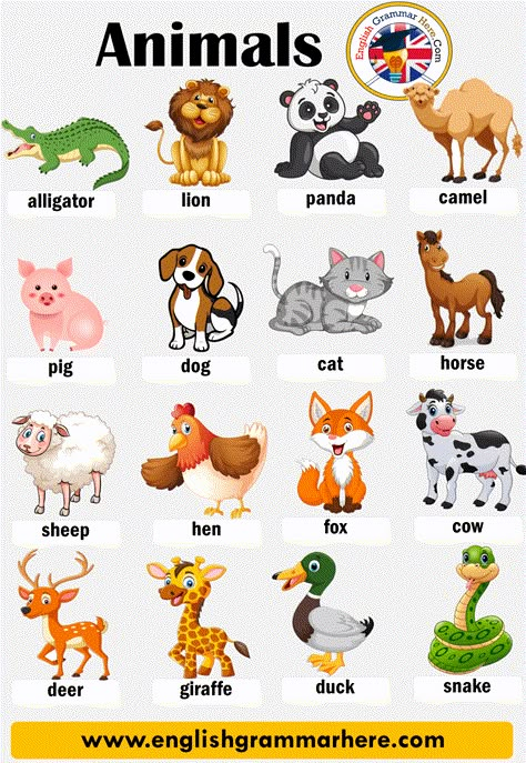 Animal Names, List of Animals in English Table of Contents ANIMALS IN ENGLISHDomestic AnimalsBirdsMammalsInsectsReptilesSea AnimalsFarm AnimalsWild Animals ANIMALS IN ENGLISH Animals Name With Picture, Animals Name List, Animal Pictures For Kids, Animals Name In English, Animal Names, English Activities For Kids, English Worksheet, Learning English For Kids, Kids English