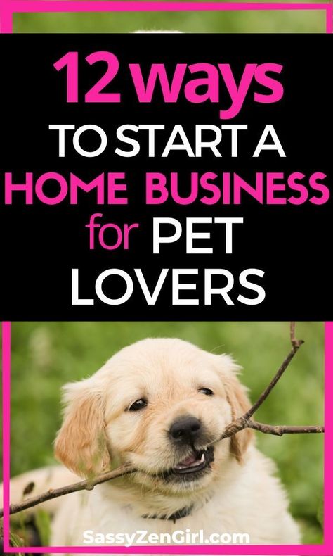 How To Start A Dog Sitting Business, Homebased Business Ideas, Pet Boutique Ideas, Dog Business Ideas, Pet Websites, Dog Sitting Business, Pet Services Business, Pet Recipes, Pet Care Business