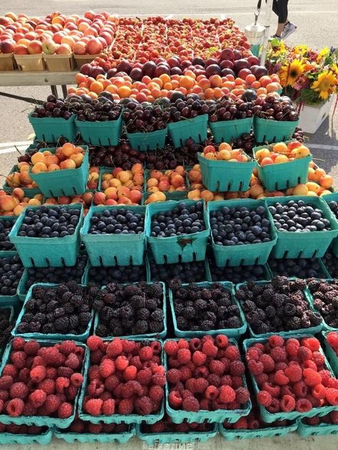 Farmers Market Produce, Homestead Farm, Fruit Stand, Future Farms, Dutch Recipes, Variety Of Fruits, Farm Stand, Farmers Markets, Buy Local