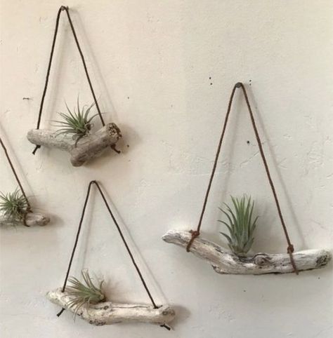 Air Plant Art, Driftwood Air Plant, Takken Decor, Air Plants Diy, Art Holder, Air Plant Wall, Airplant Wall, Air Plants Decor, Plant Wall Art