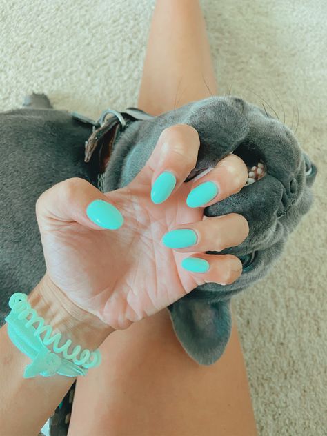 Aqua Tips Nails, Nails Inspo For Mexico, White Teal Nails, Aqua Nails Short, Teal Green Nail Ideas, Cute Teal Nail Ideas, Teal Oval Nails, Neon Teal Nails, Almond Teal Nails